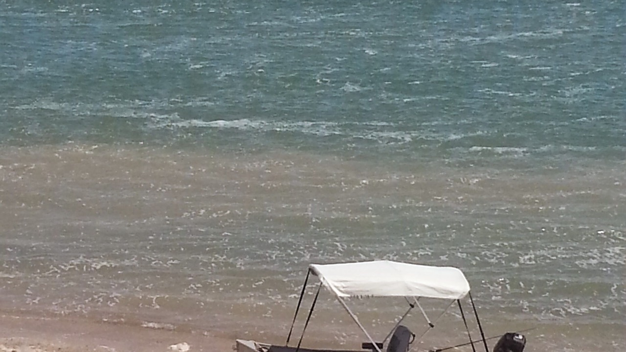 Photo of Others in San Felipe