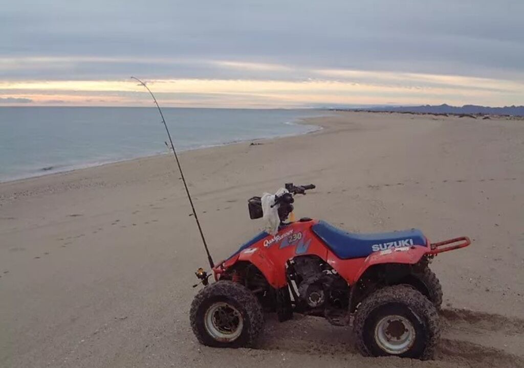 Photo of Others in San Felipe