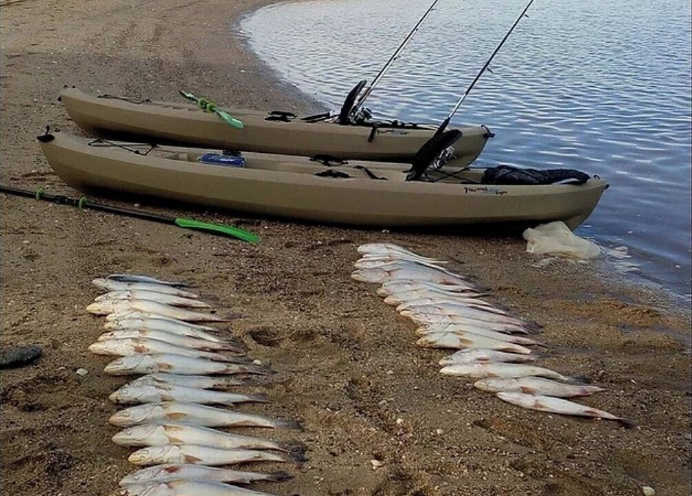 Photo of Others in San Felipe