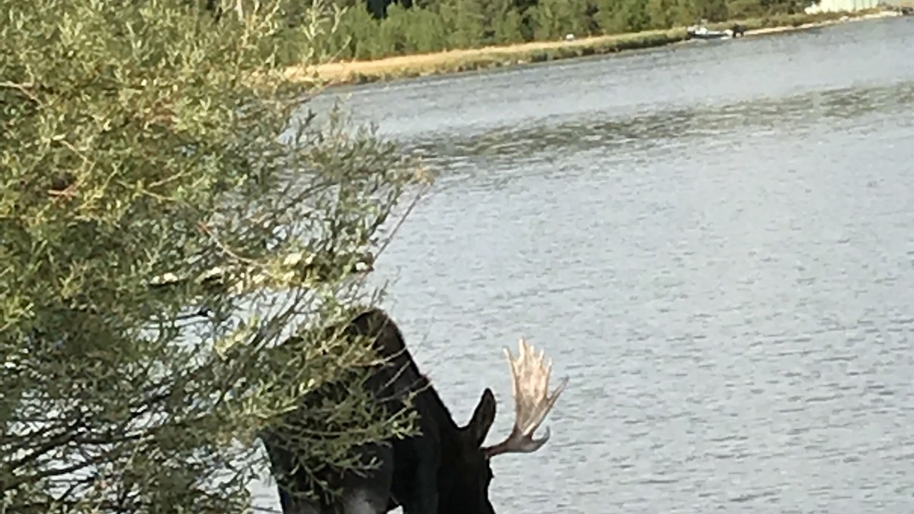 Photo of Others in Georgetown