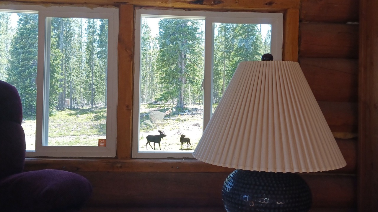 Photo of Bedroom in Laramie