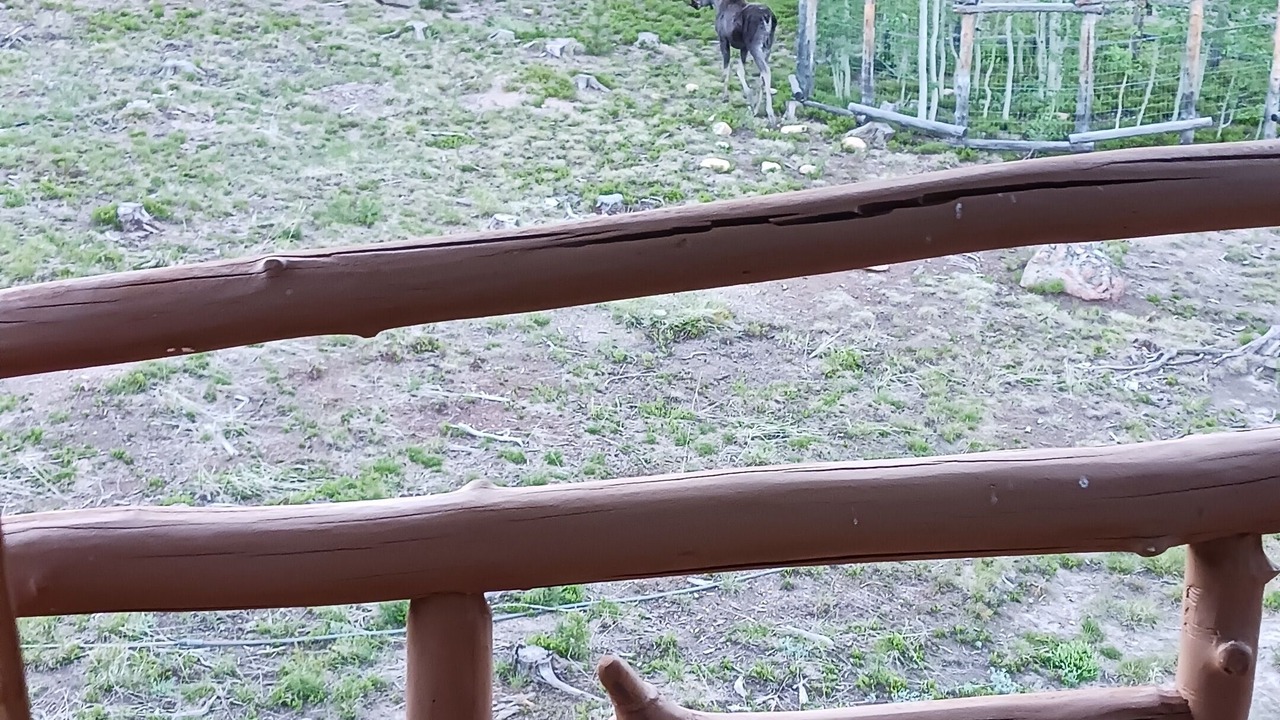 Photo of Patio Balcony in Laramie