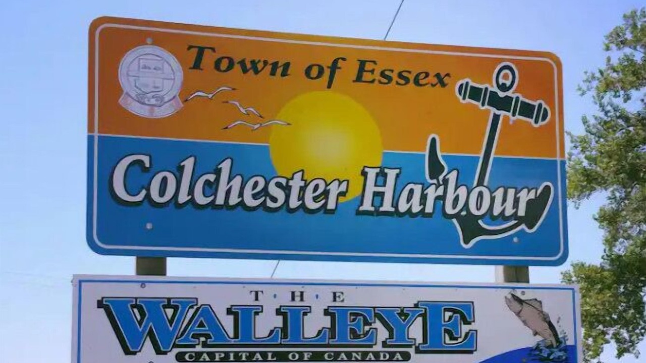 Photo of Outdoor in Colchester