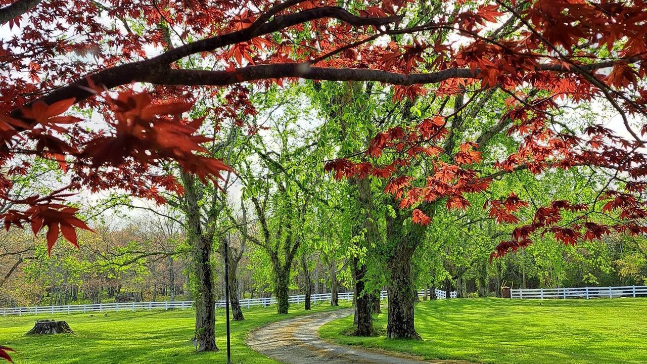 Photo of Outdoor in Yarmouth County