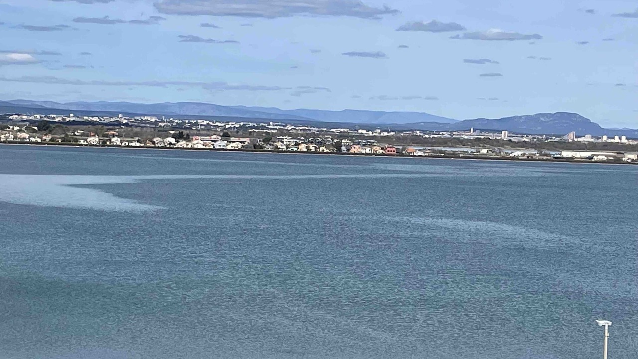 Photo of Others in Palavas-les-Flots