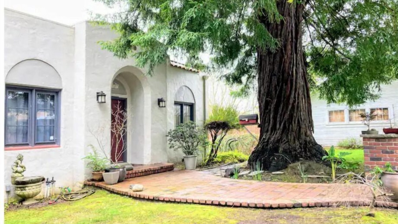 Photo of Outdoor in Arcata