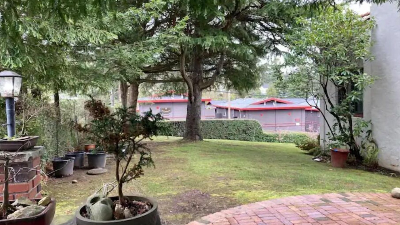 Photo of Outdoor in Arcata