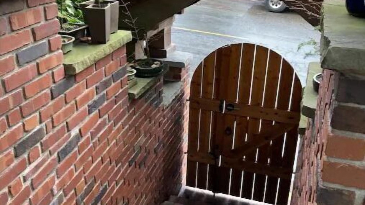 Photo of Outdoor in Arcata