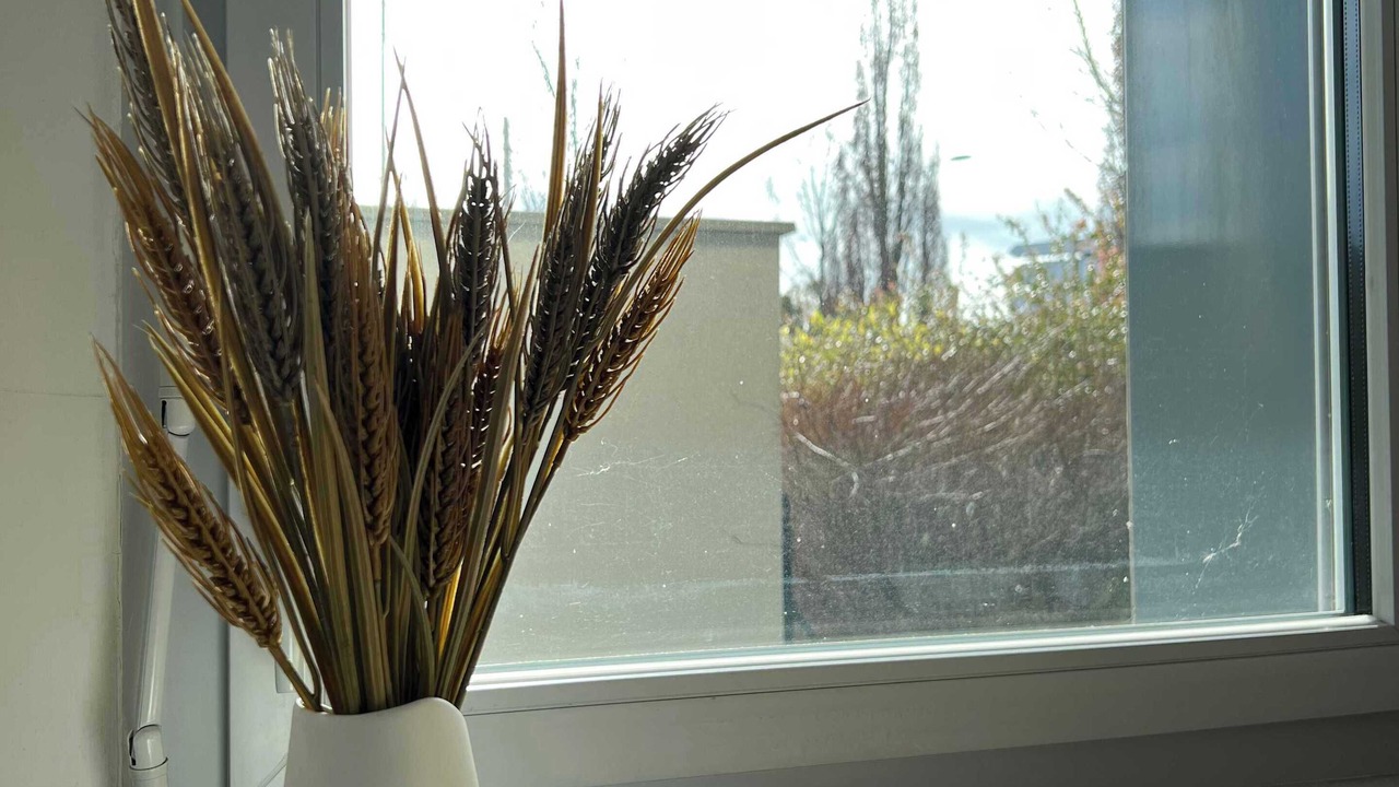 Photo of Others in Blagnac