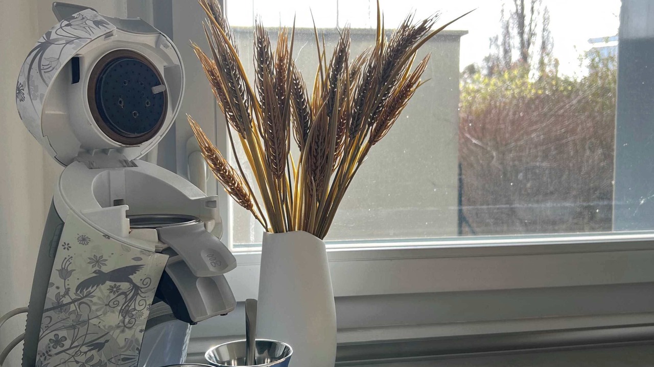 Photo of Others in Blagnac