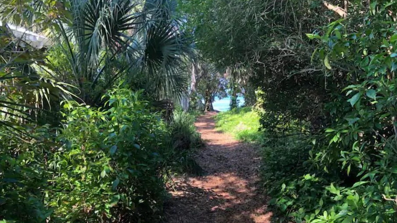 Photo of Others in Indian Beach Sapphire Shores