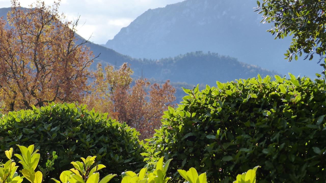 Photo of Outdoor in Quillan