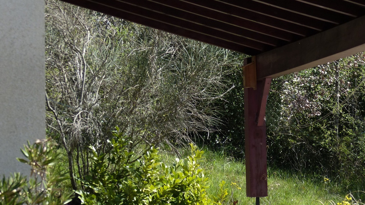 Photo of Outdoor in Quillan