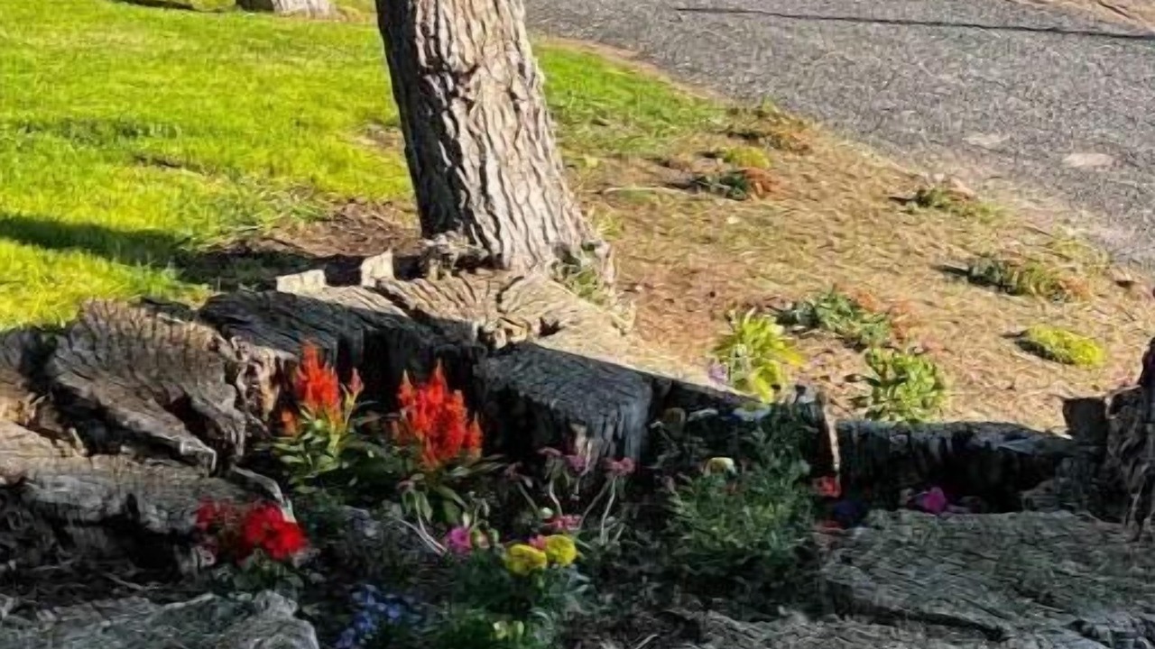 Photo of Outdoor in Bliss