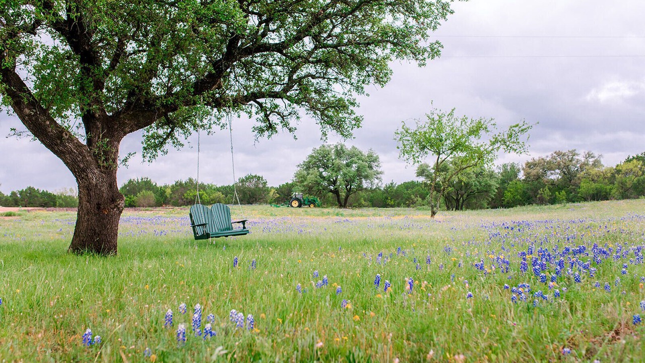 Photo of Outdoor in Brady