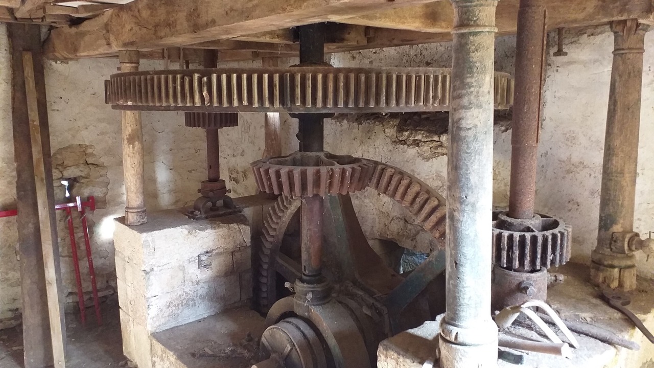 Photo of Others in La Mothe-Saint-Heray