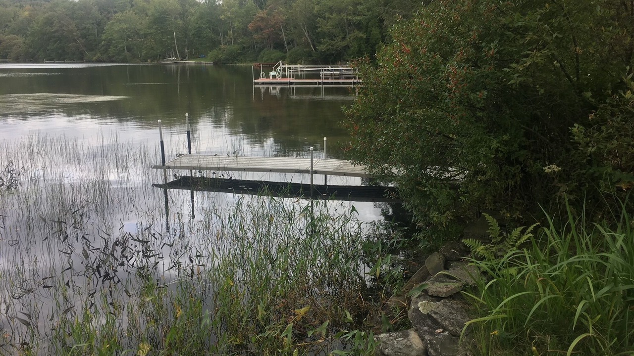 Photo of Outdoor in Starrucca