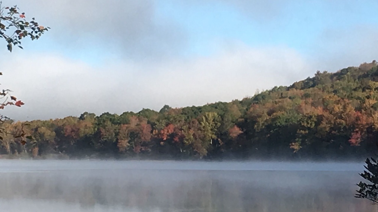 Photo of Outdoor in Starrucca