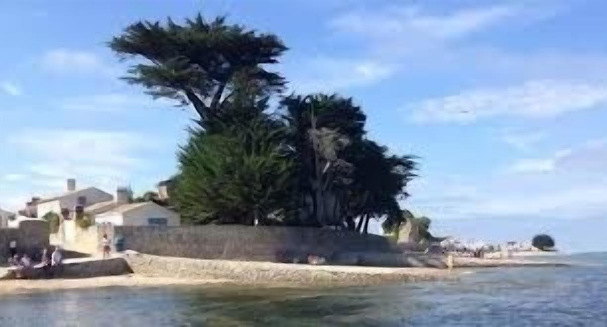 Photo of Others in Noirmoutier-en-l'Ile