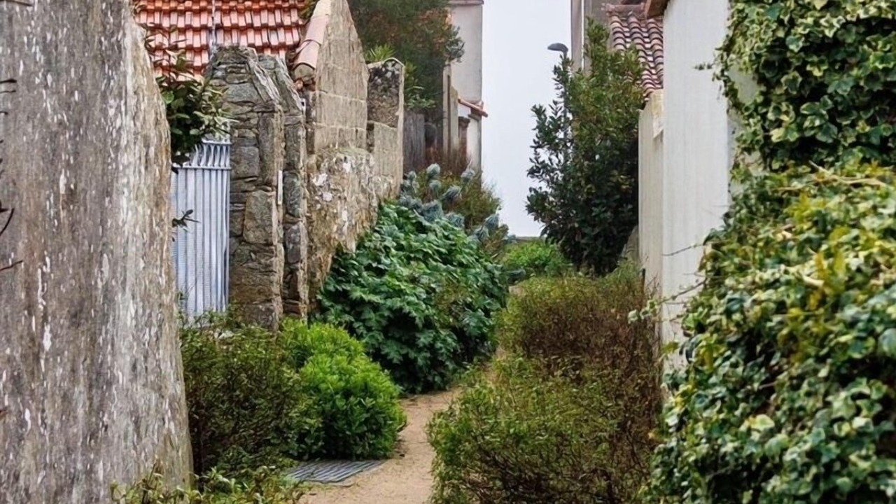 Photo of Outdoor in Noirmoutier-en-l'Ile