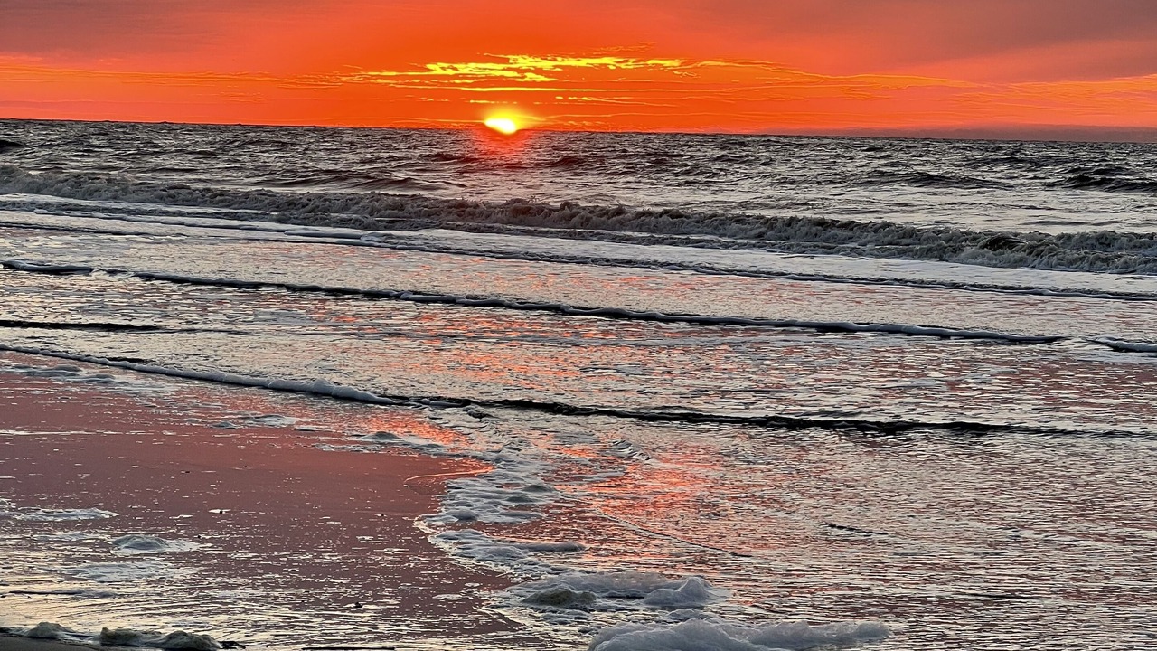 Photo of Others in East Beach