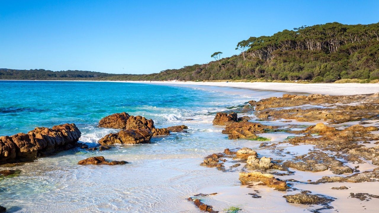 Photo of Others in Hyams Beach