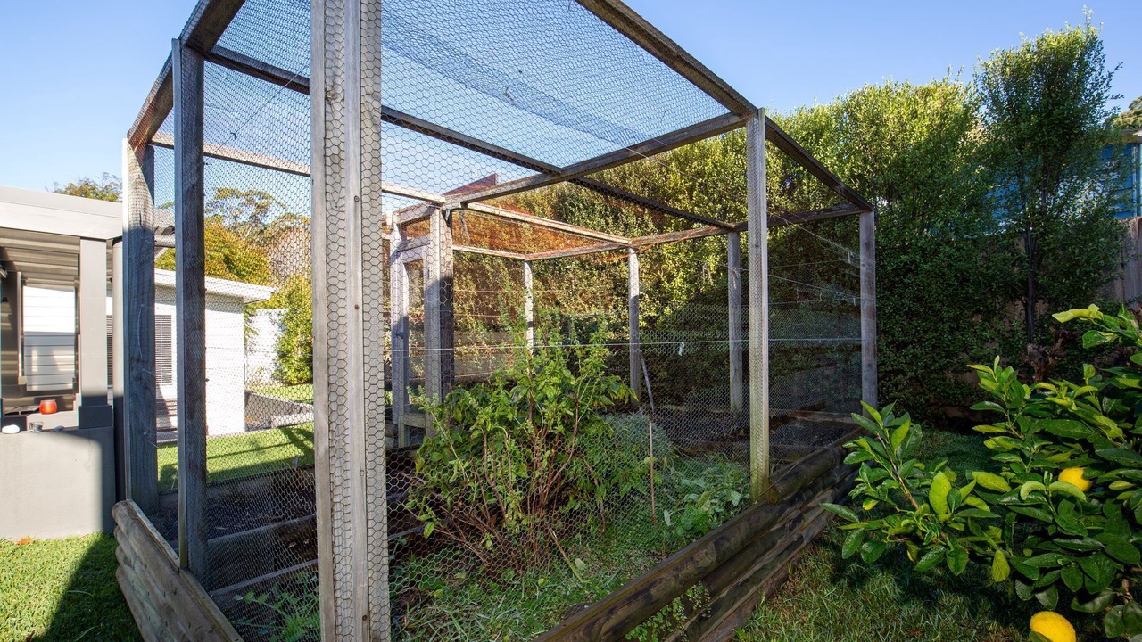 Photo of Outdoor in Hyams Beach