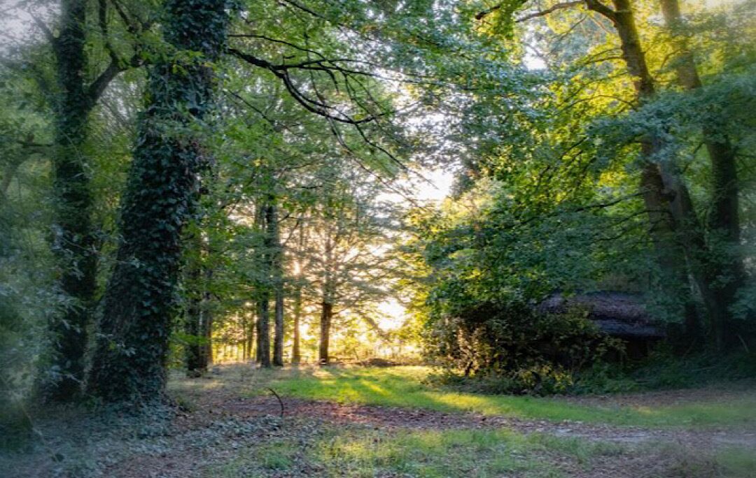 Photo of Outdoor in Pouance