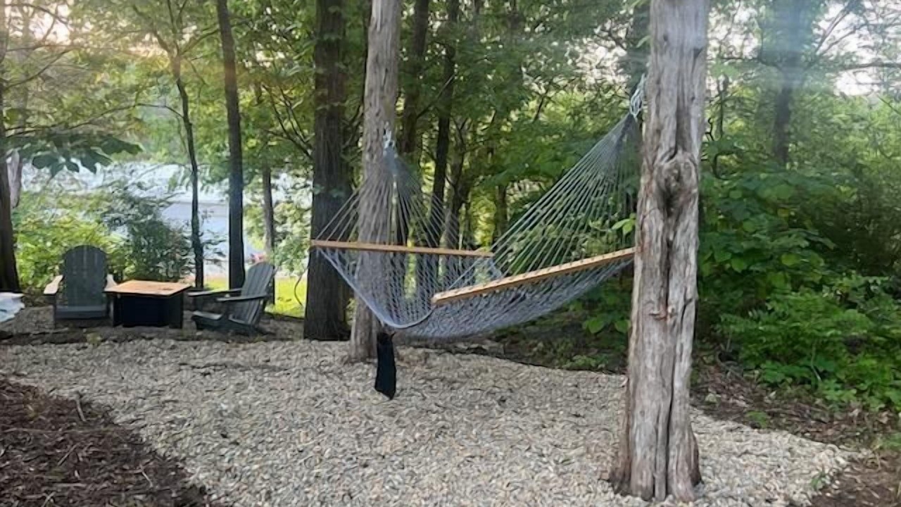 Photo of Outdoor in Dandridge