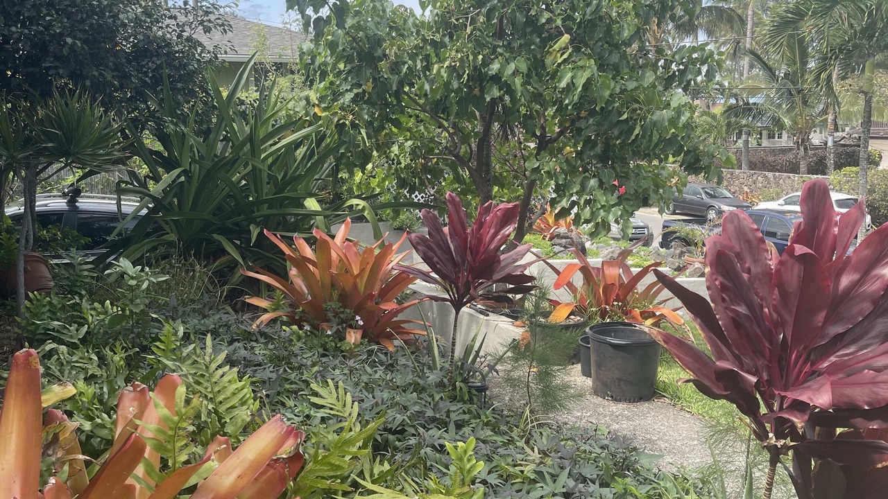 Photo of Outdoor in Waimanalo Beach