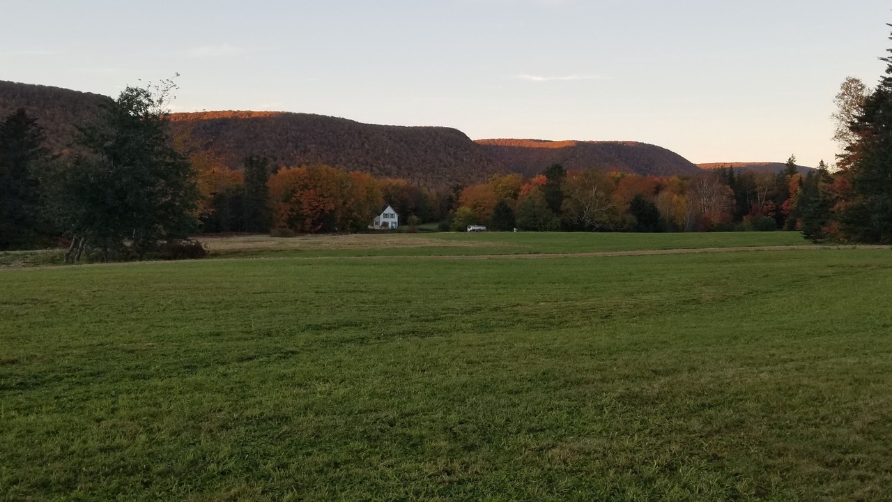 Photo of Others in Margaree Valley
