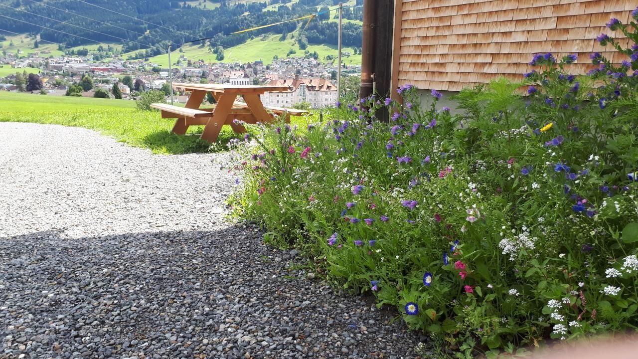 Photo of Others in Appenzell