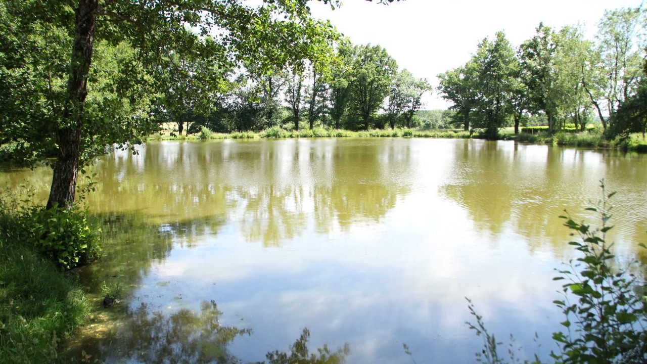 Photo of Outdoor in La Foret-sur-Sevre