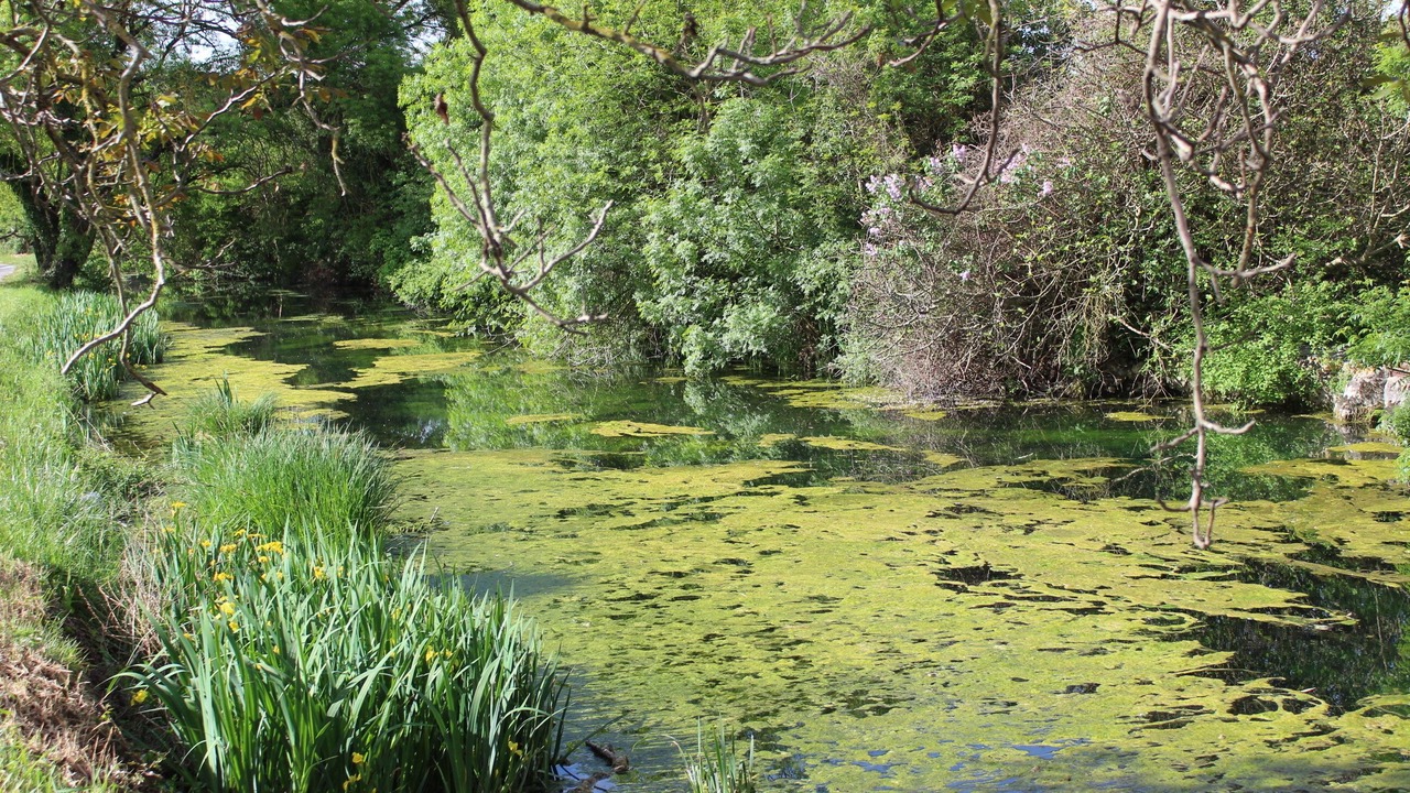 Photo of Outdoor in Allegre Les Fumades