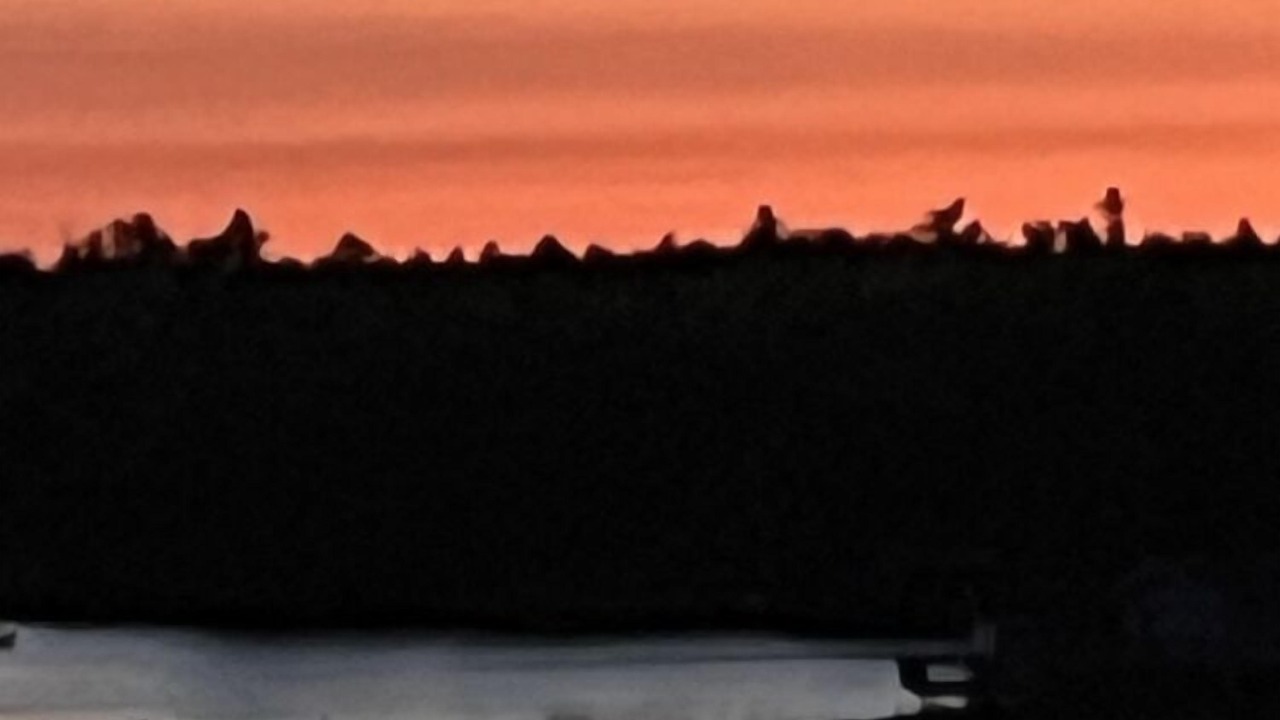 Photo of Others in Vermilion Bay