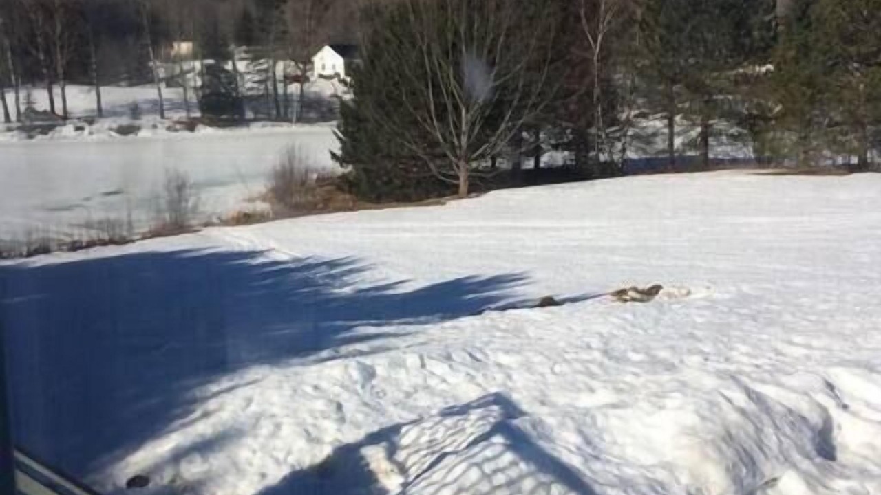Photo of Others in Presque Isle