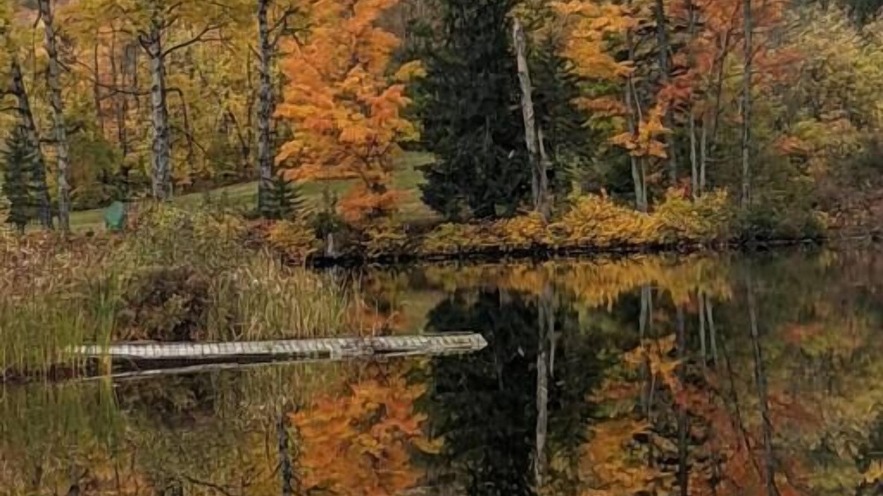 Photo of Others in Presque Isle