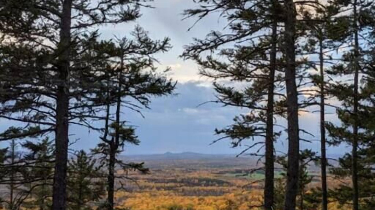 Photo of Others in Presque Isle
