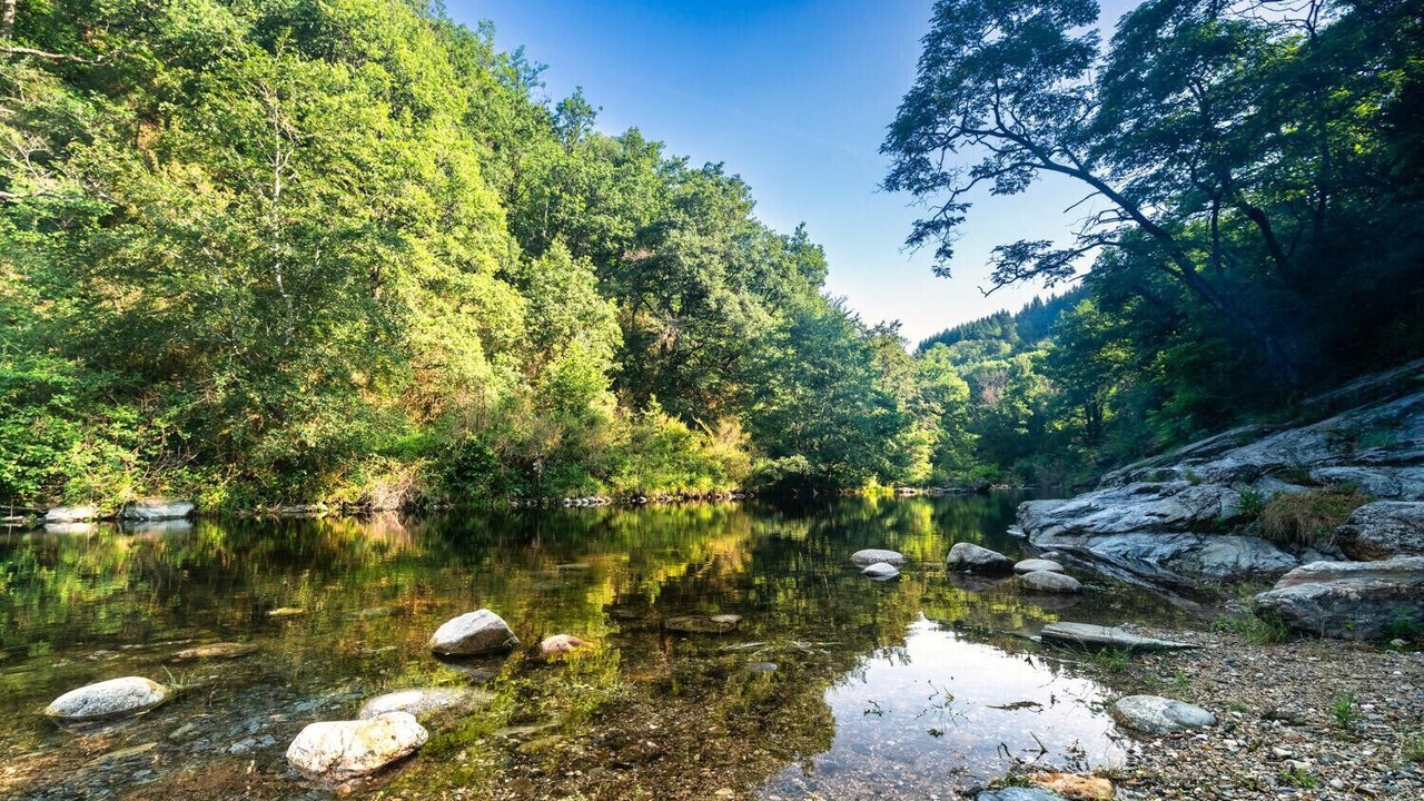 Photo of Others in Saint-Jean-du-Bruel