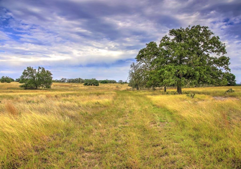 Photo of Outdoor in Harper