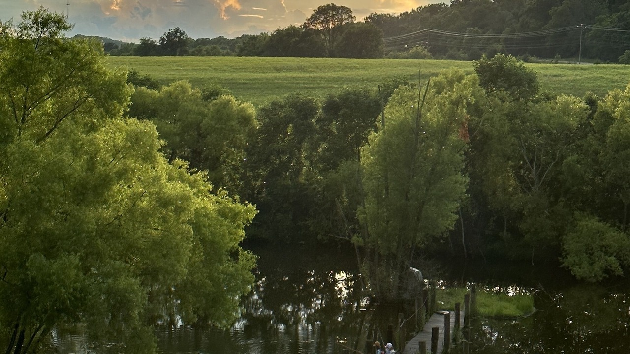 Photo of Others in College Grove