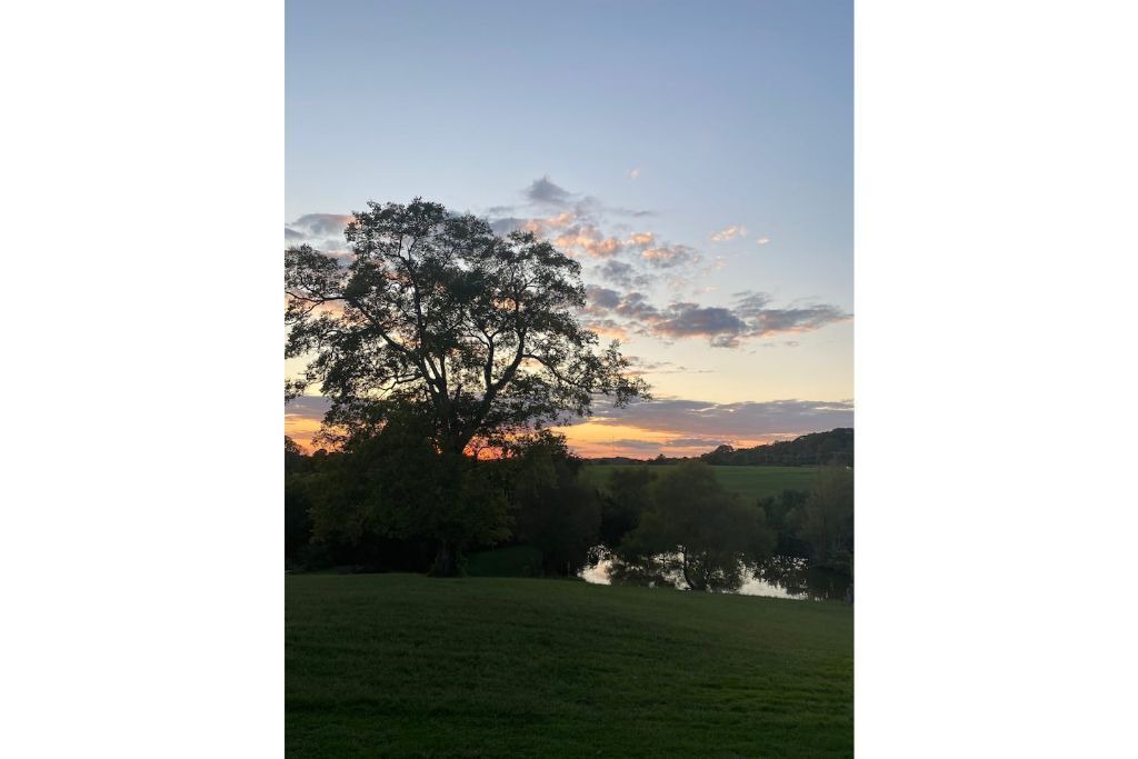 Photo of Outdoor in College Grove