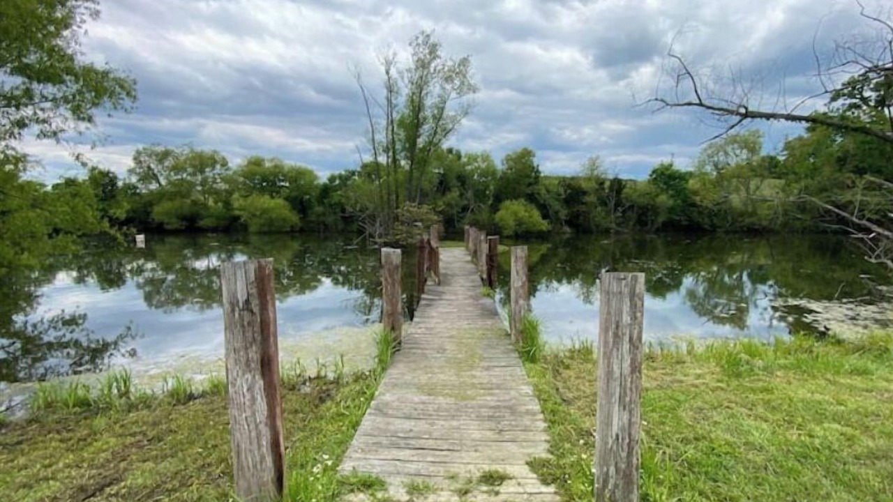 Photo of Outdoor in College Grove