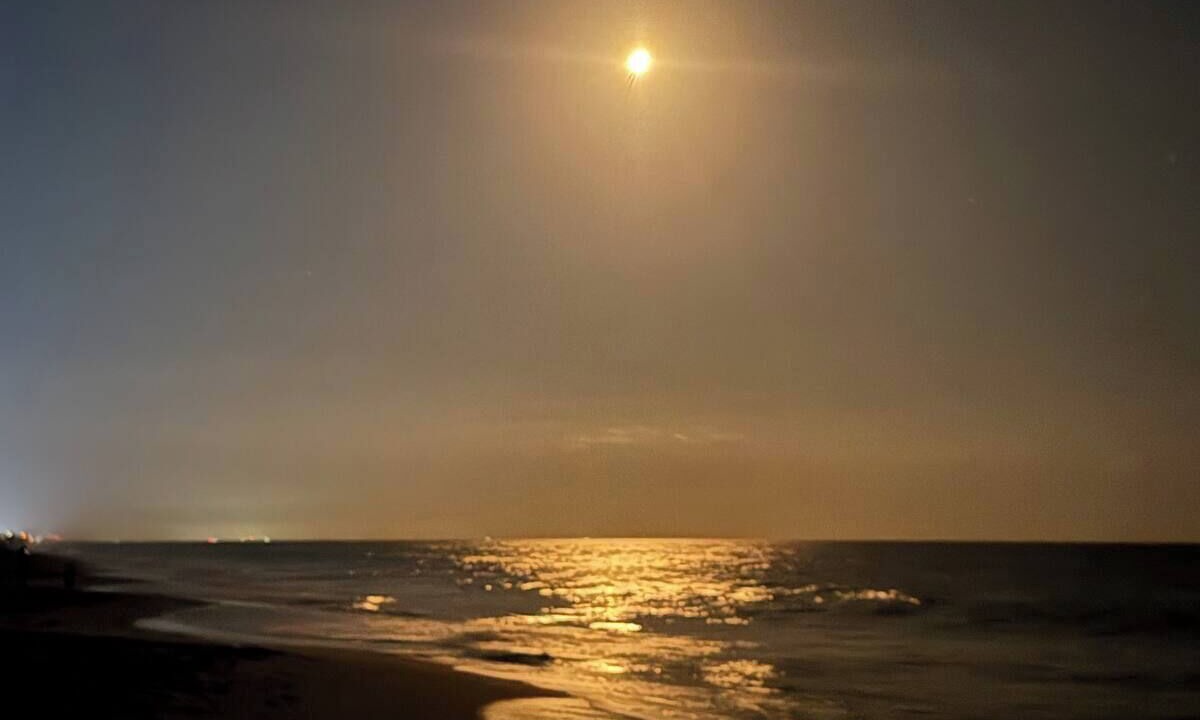 Photo of Others in Indian Harbour Beach