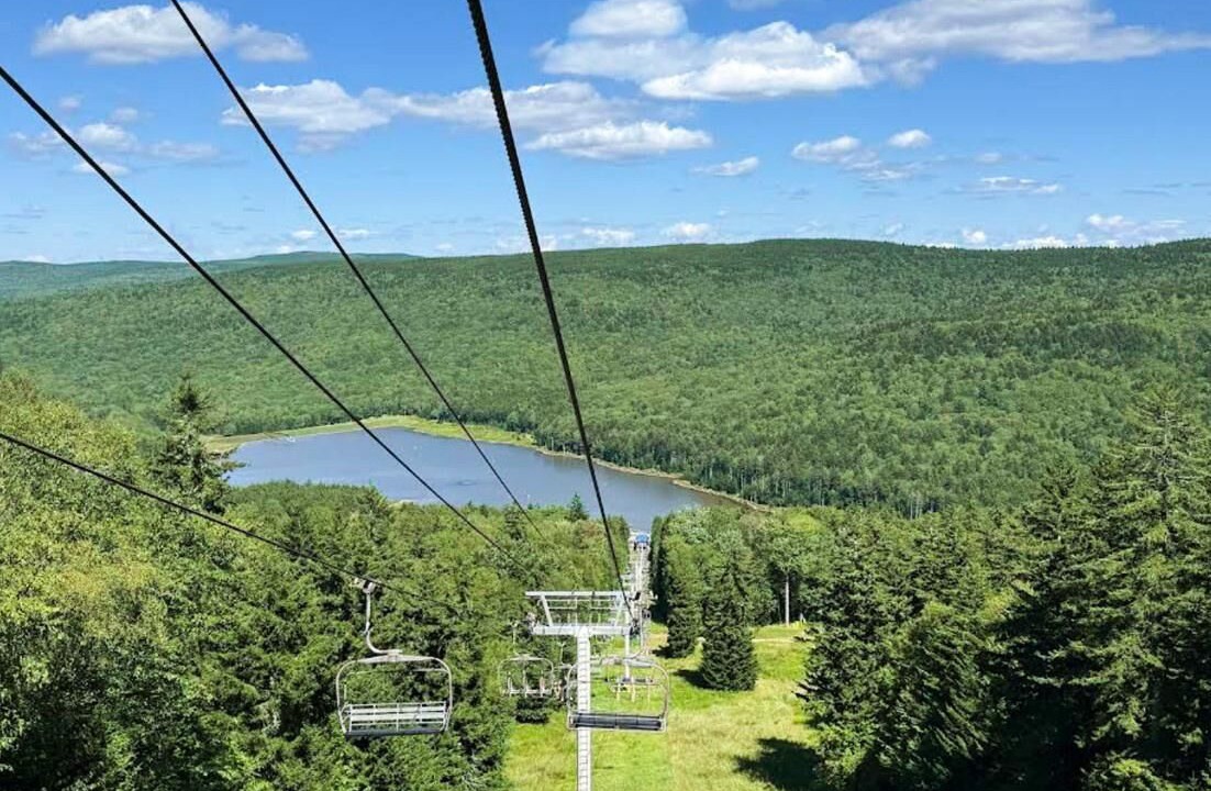Photo of Others in Snowshoe