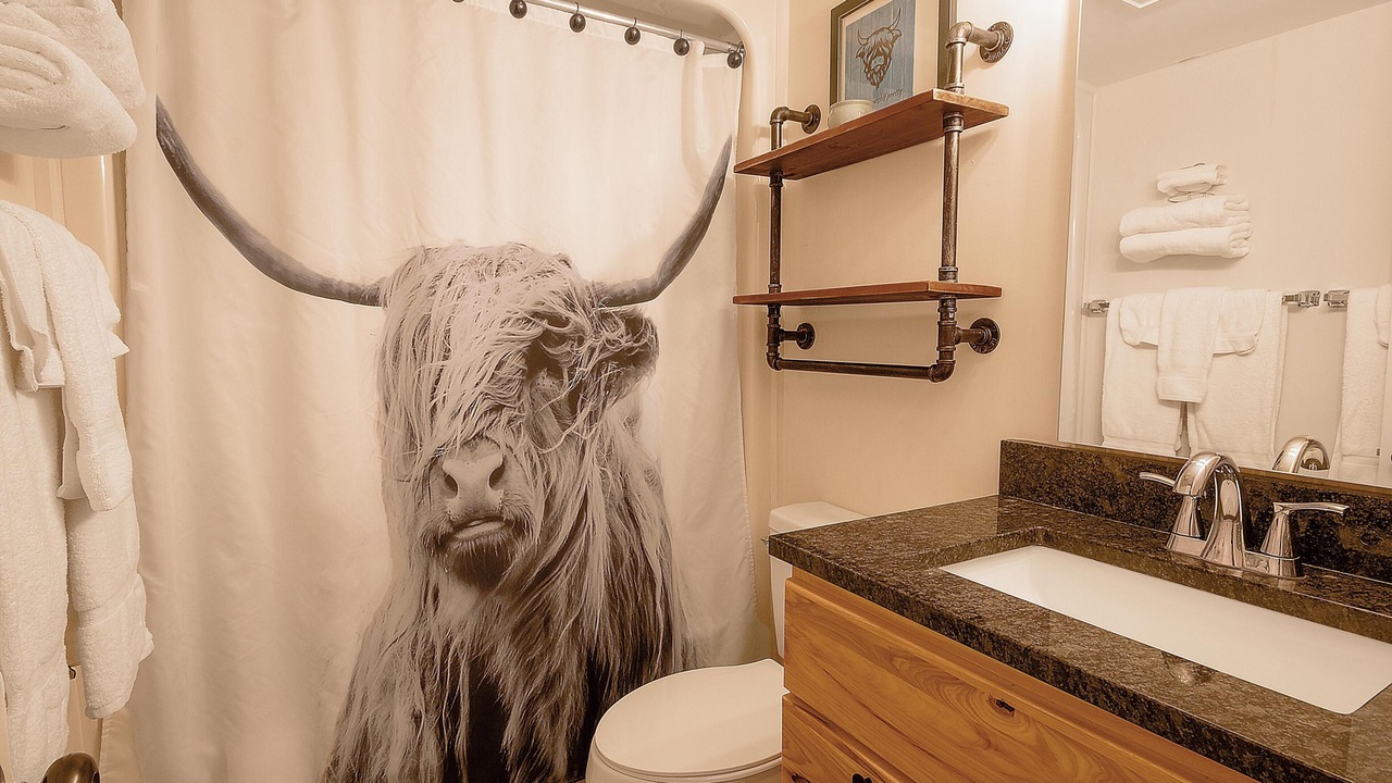 Photo of Bathroom in Snowshoe