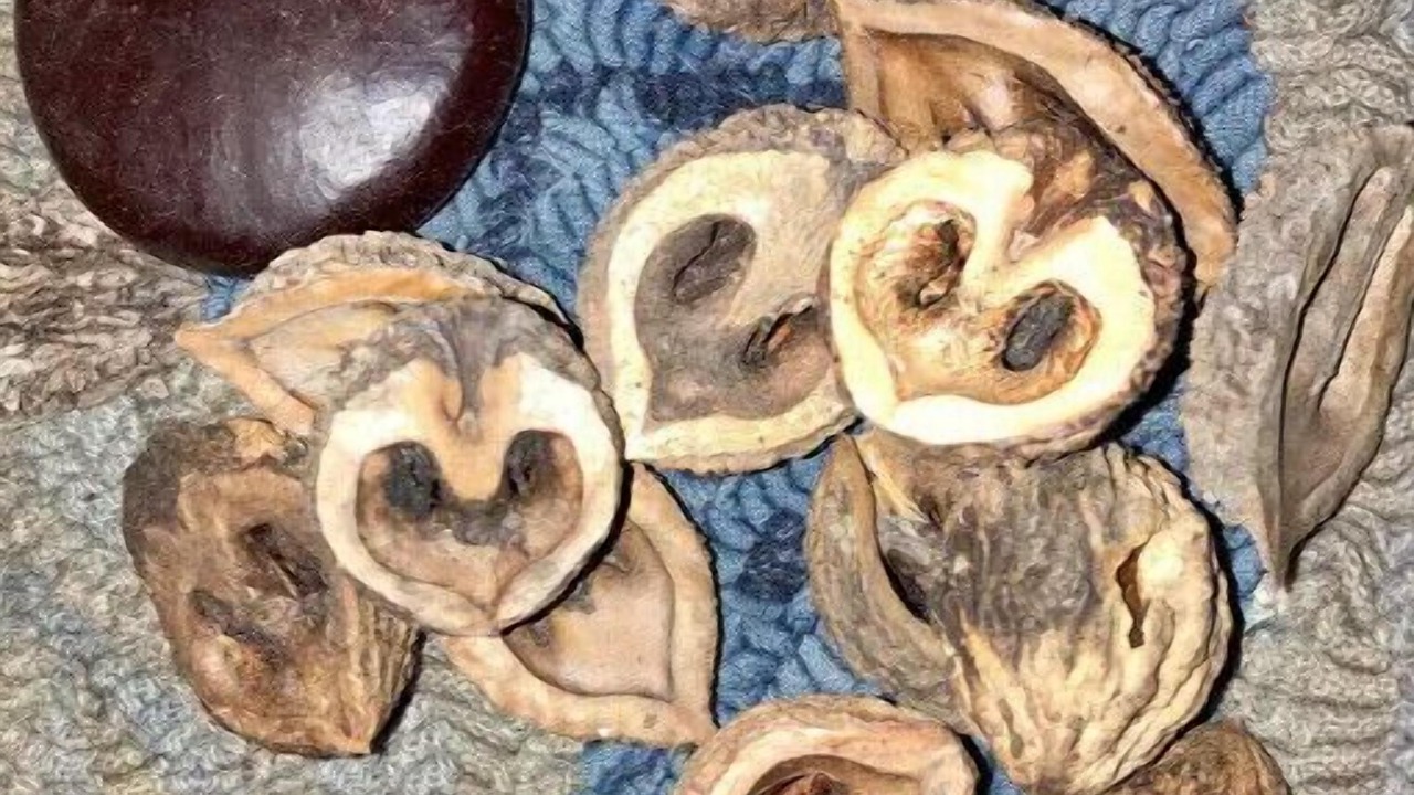 Photo of Others in Howland