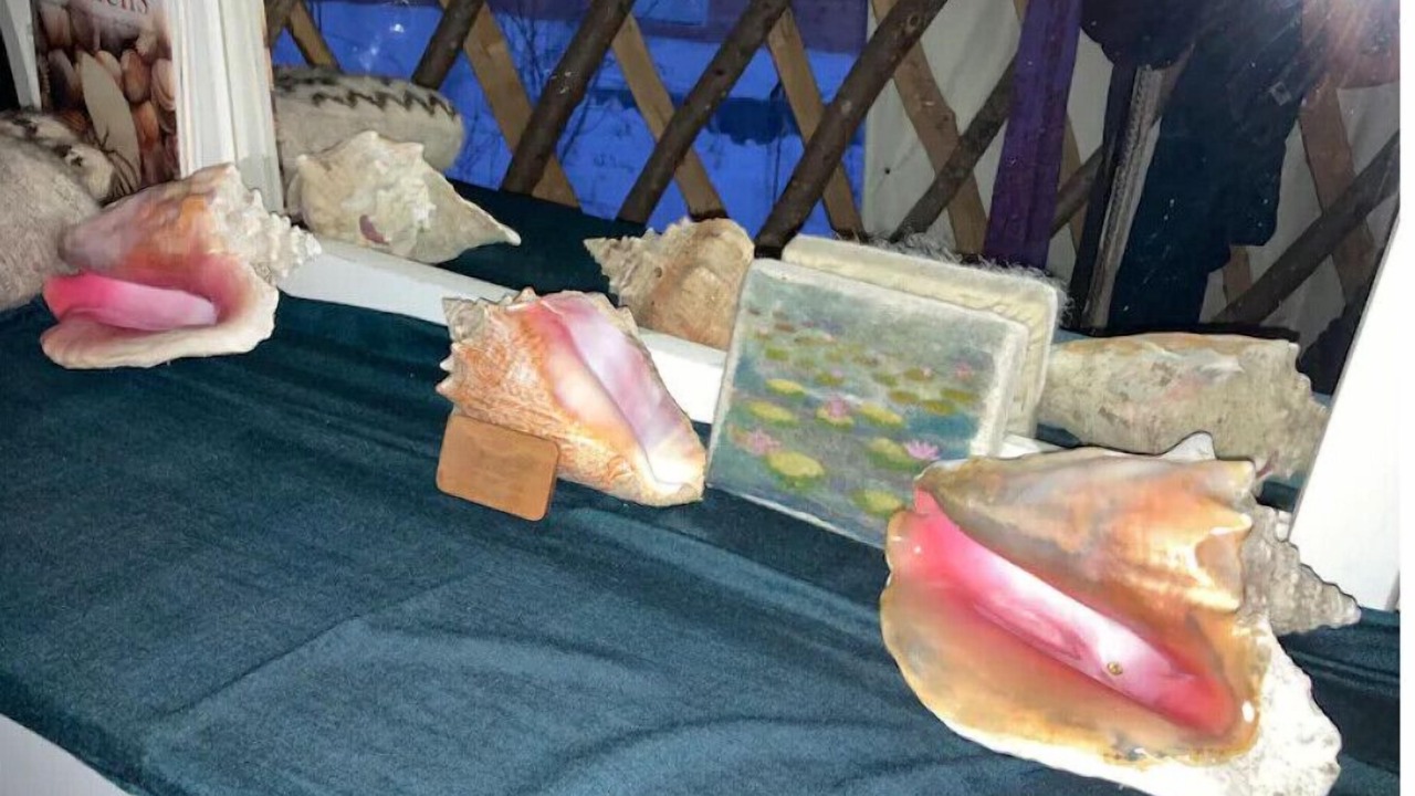 Photo of Others in Howland