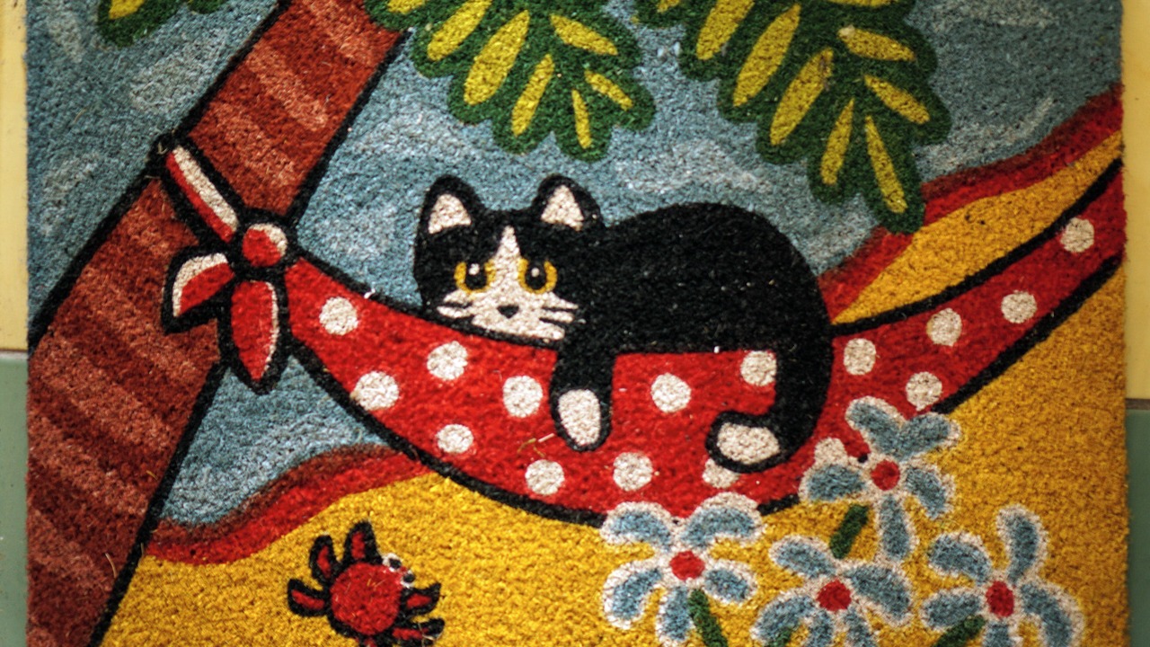 Photo of Others in Cote Est Soquence