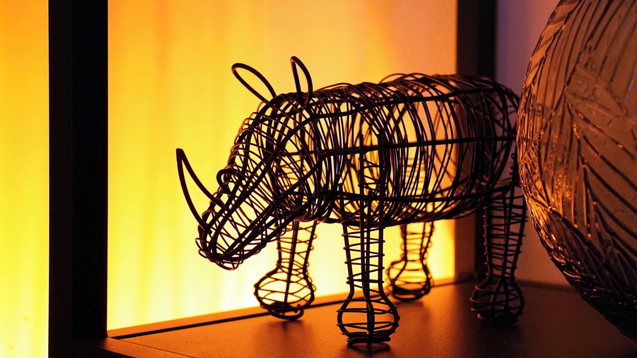 Photo of Others in Cote Est Soquence